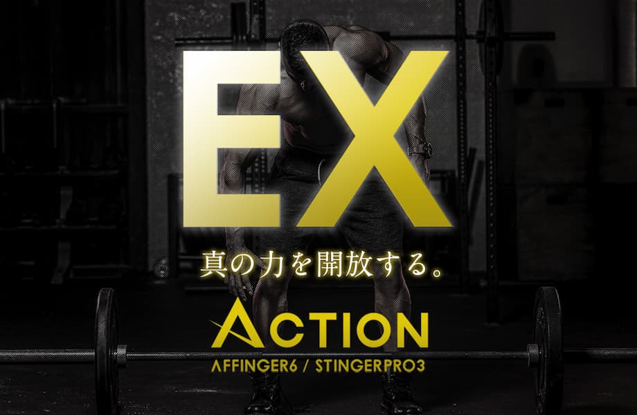 AFFINGER6 EXとは